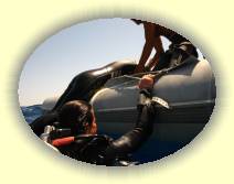 IMG_2007_05_29 14_54_43 * 3072 x 2304 * (651KB)